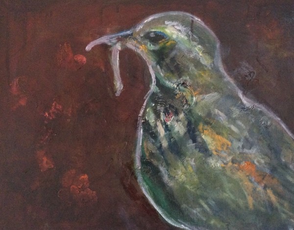 Little bird